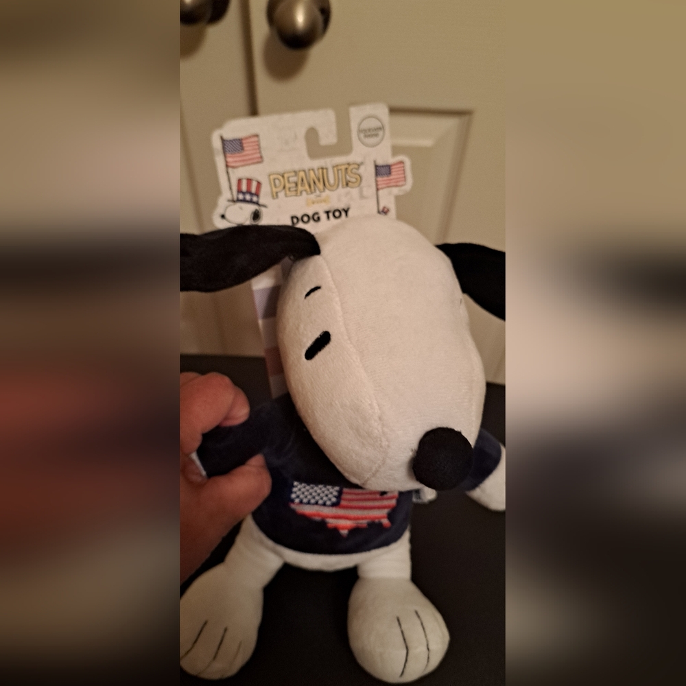 Peanuts Snoopy Dog toy